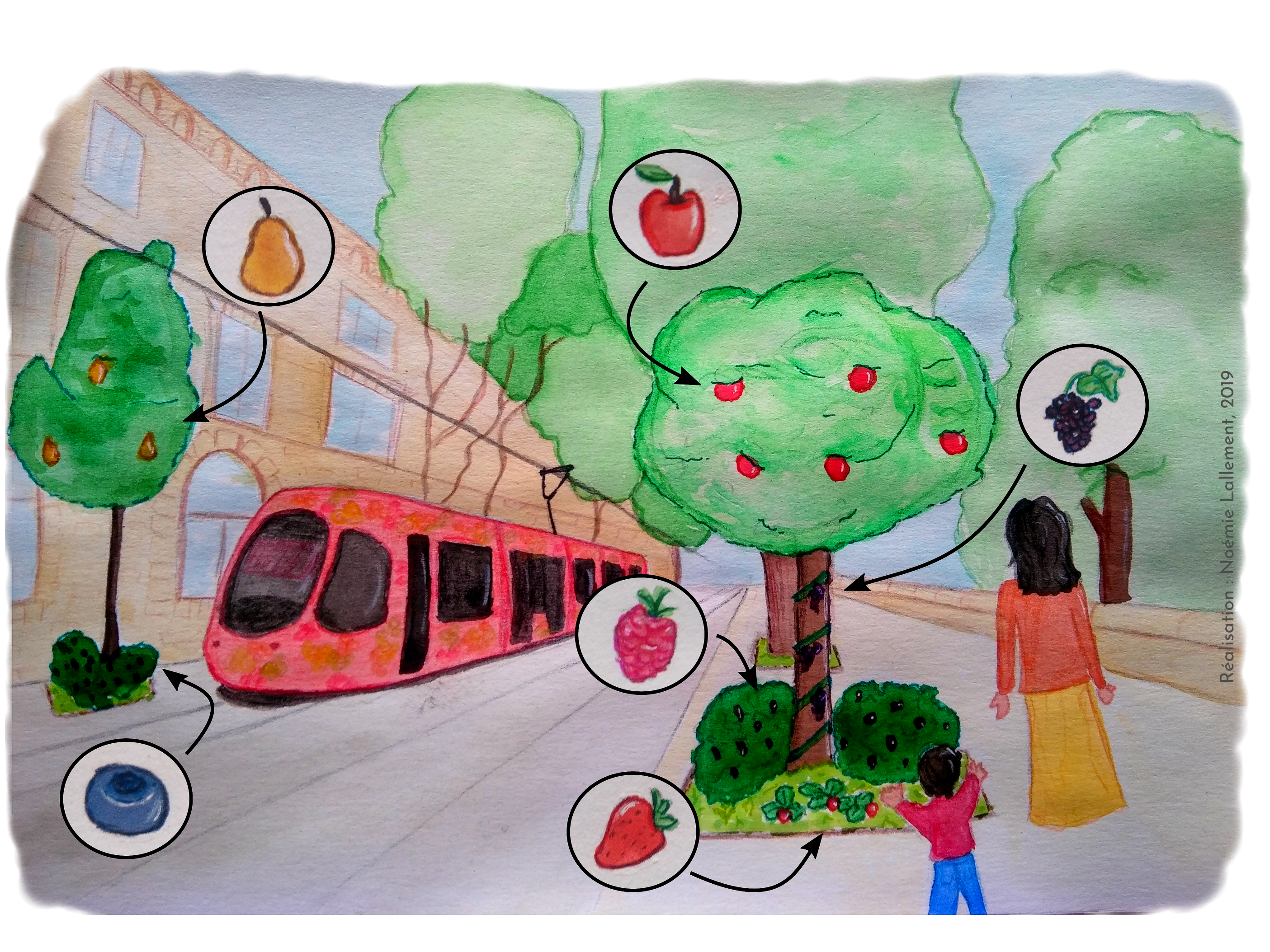 Illustration des fruitiers dans la ville signée