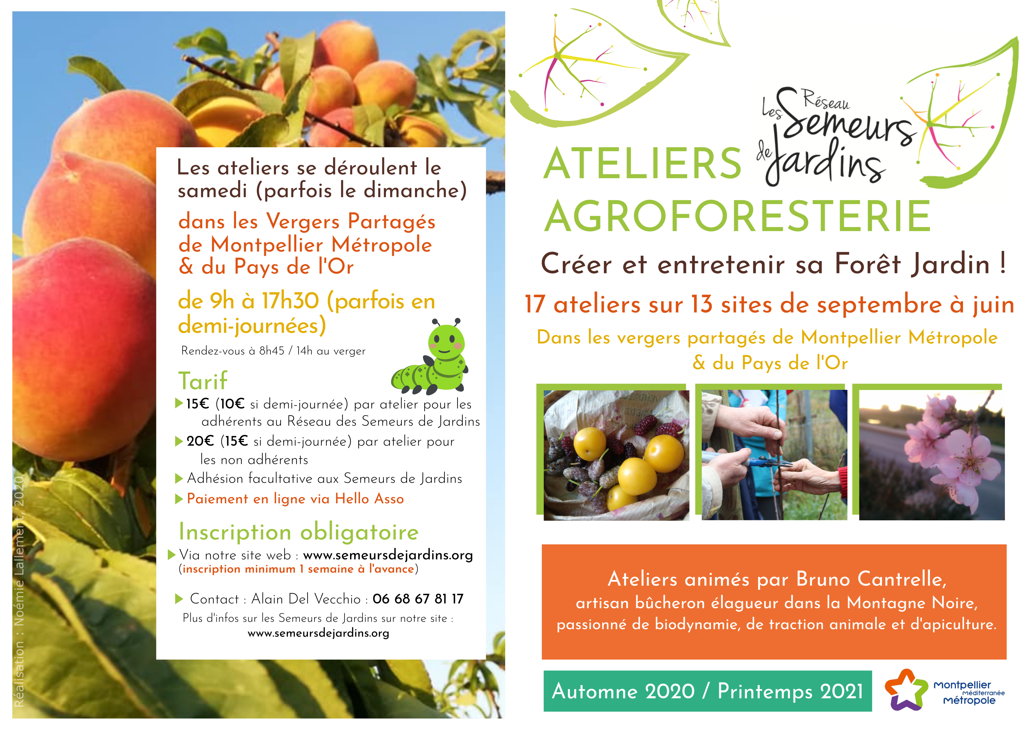 programme agroforesterie ext